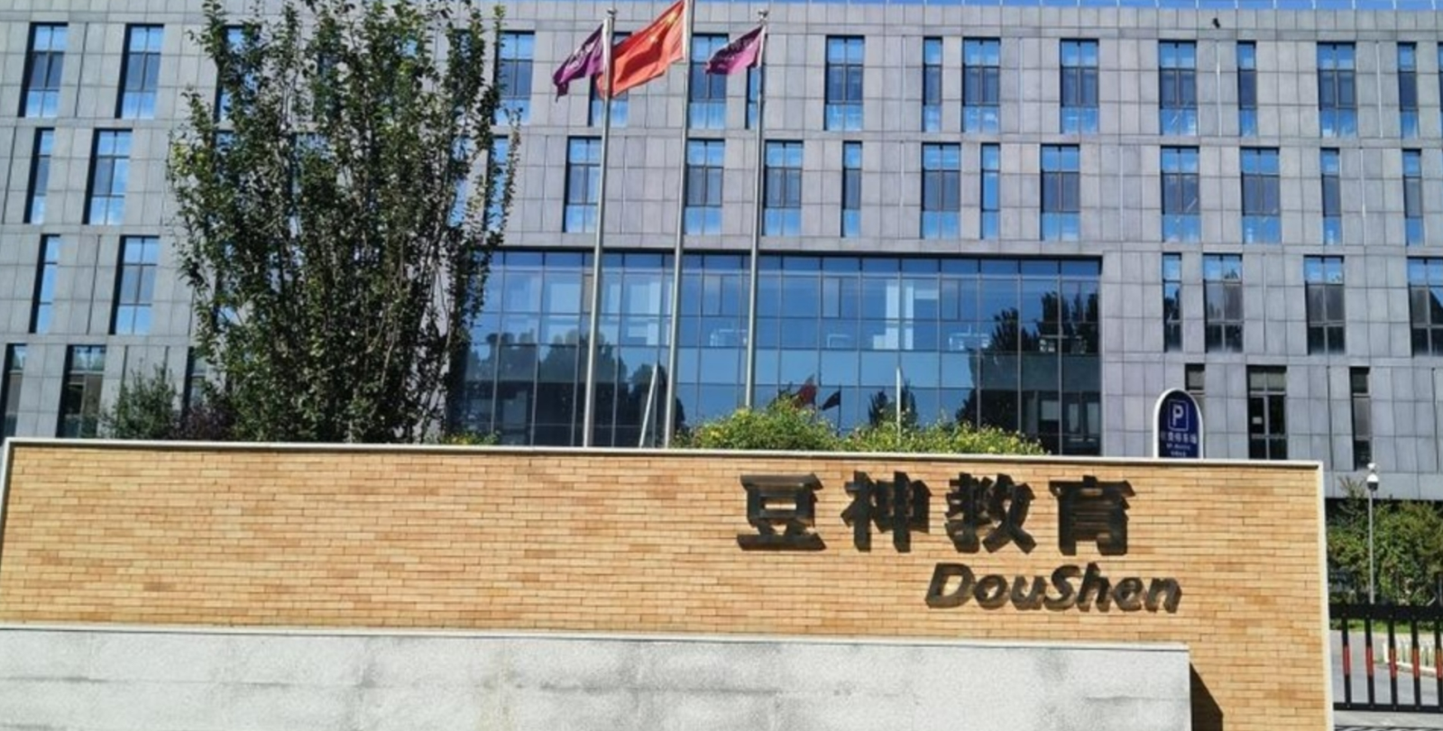 豆神教育补选非独立董事，此前已被罚受损投资者可索赔